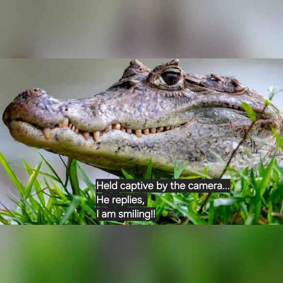 re_kl